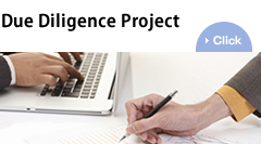 Due Diligence Project